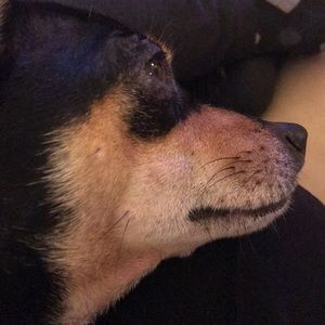 Meet your Posher, Kris